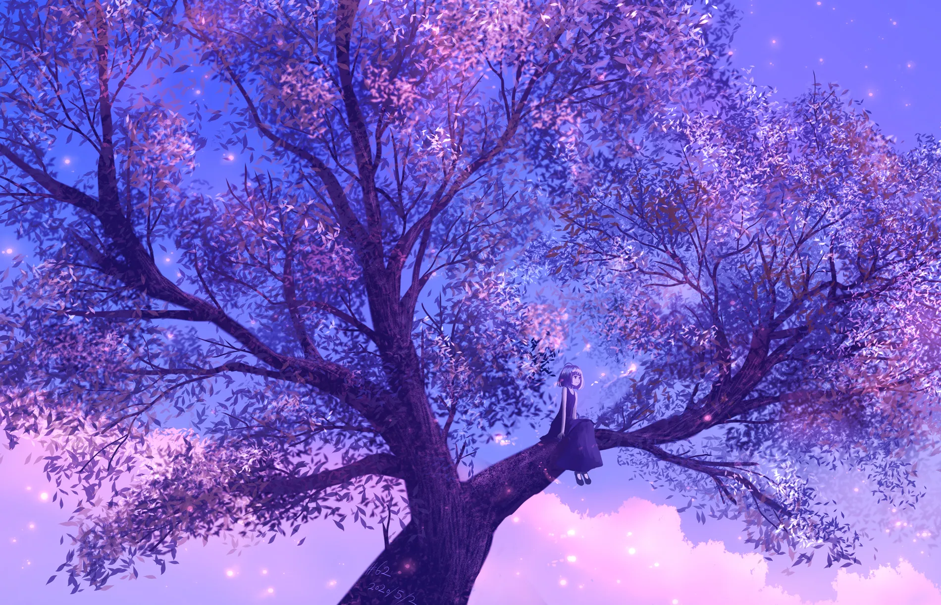 Banner image of the blog